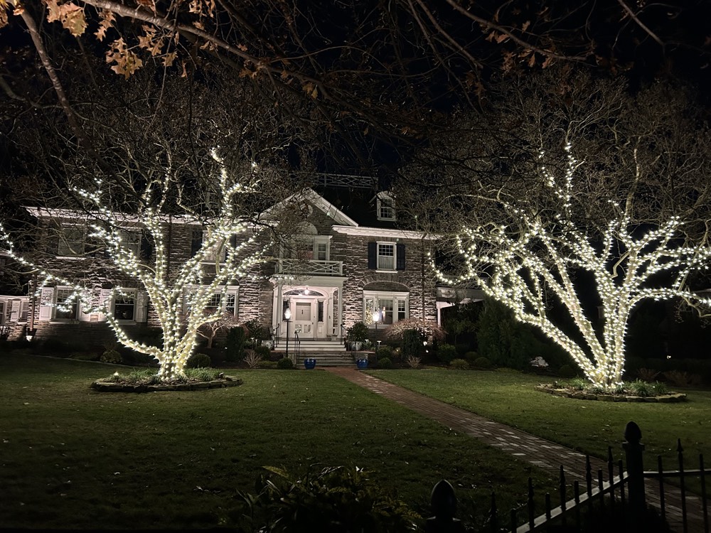 Mature trees wrapped in warm white lights in front of a lit house at night